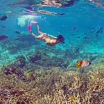 Amedee Island Snorkelling