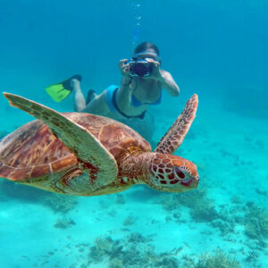 New Caledonia Reef Cruises